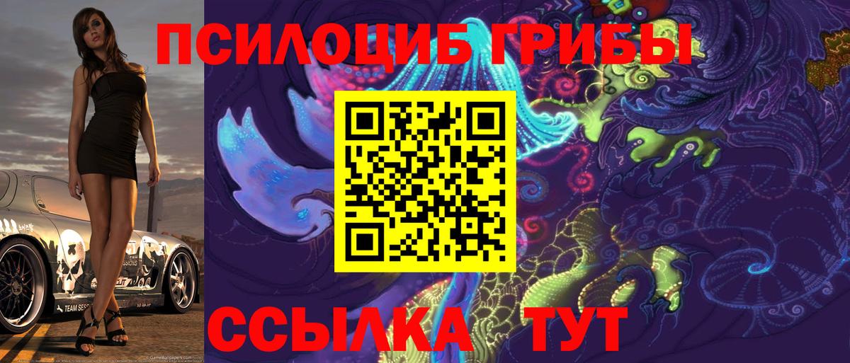 Сургут  Псилоцибиновые грибы прущие грибы  Галлюциногенные грибы MAGIC MUSHROOMS  Вход с VPN 